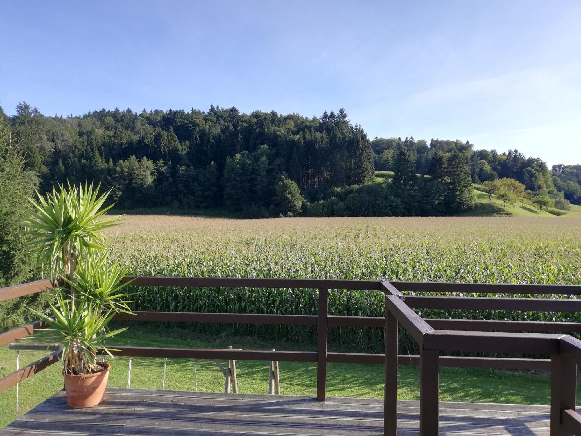 Ferienhaus Am Bach Kirchberg an der Raab Exterior photo